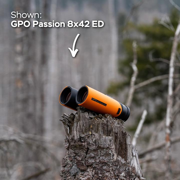 Actual product image GPO Passion 10x32ED Verrekijker Oranje