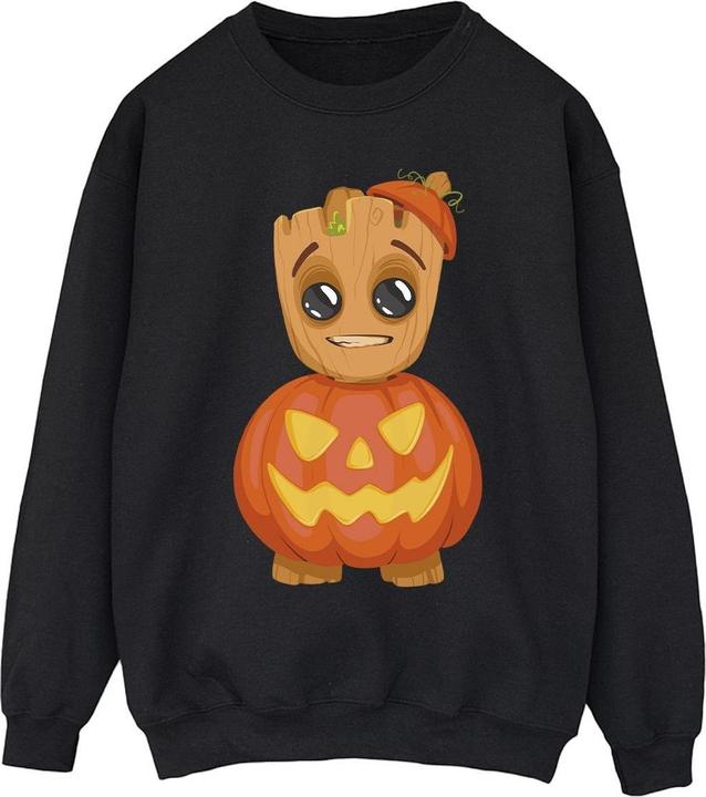 Actual product image Mens Groot Pumpkin Sweatshirt (4XL)