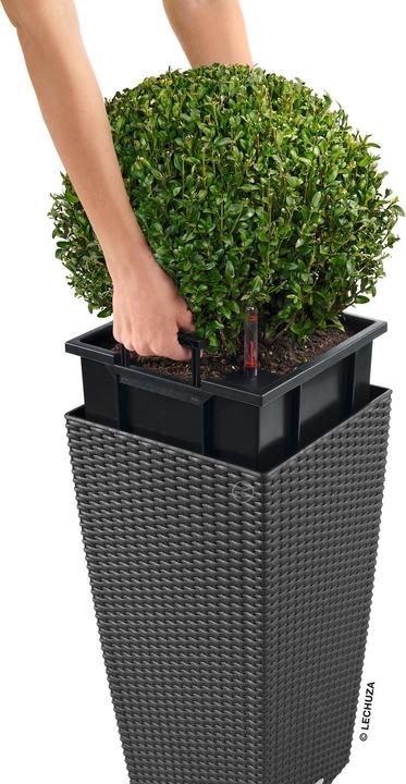 Immagine prodotto Lechuza Cubico Cottage (29.50 cm)