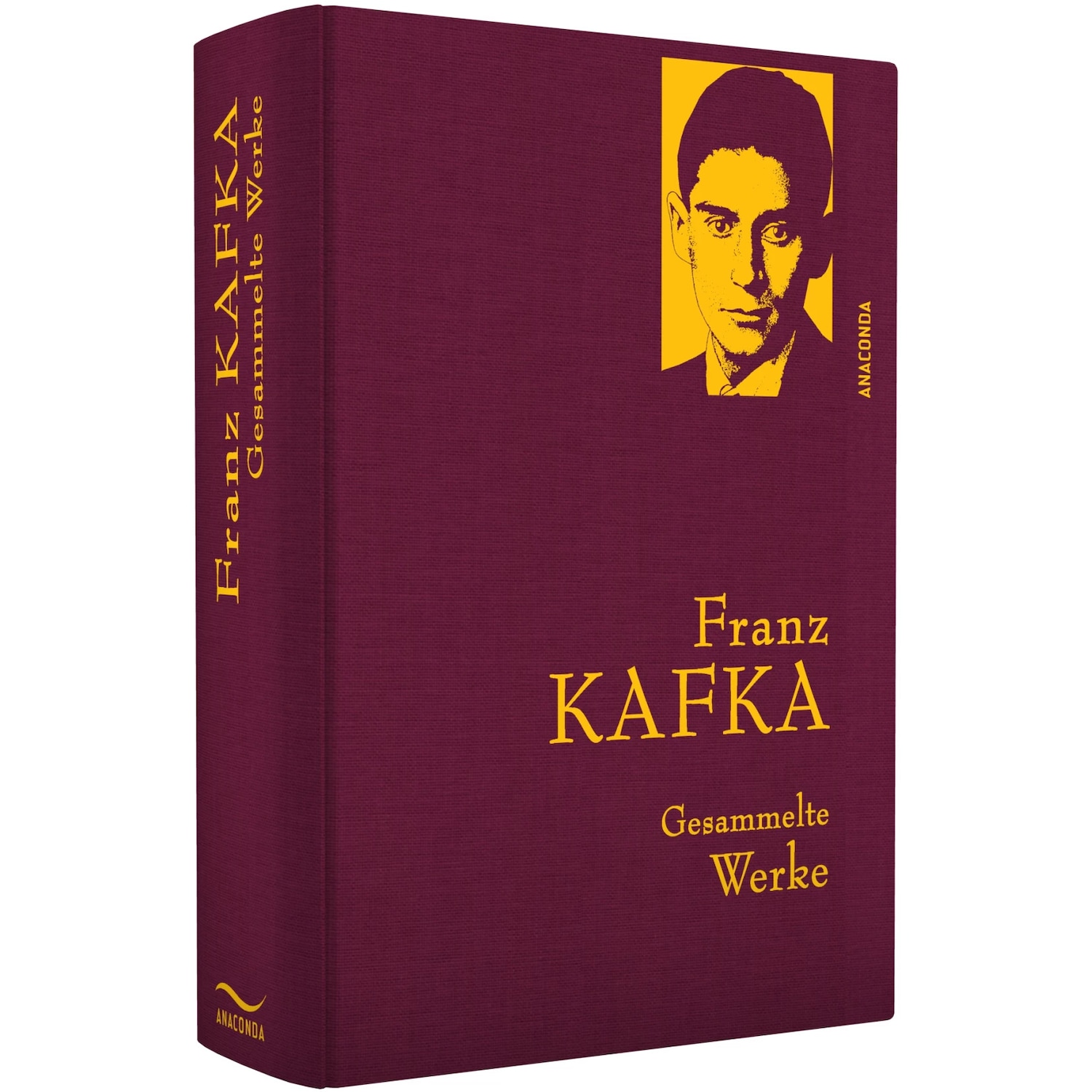 Gesammelte Werke, Belletristik von Franz Kafka