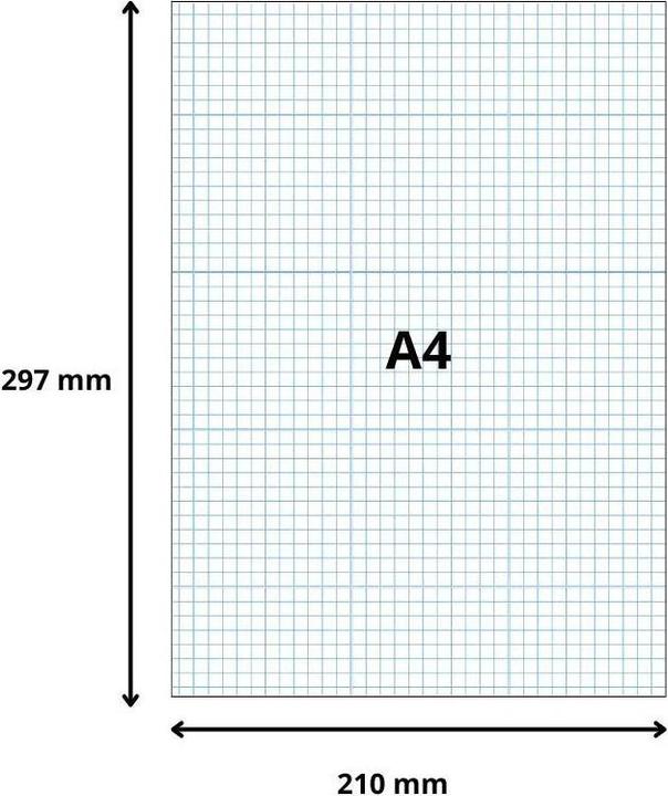 Immagine prodotto Exacompta Schede di valutazione (210 x 297 mm, 100x, 205 g/m²)