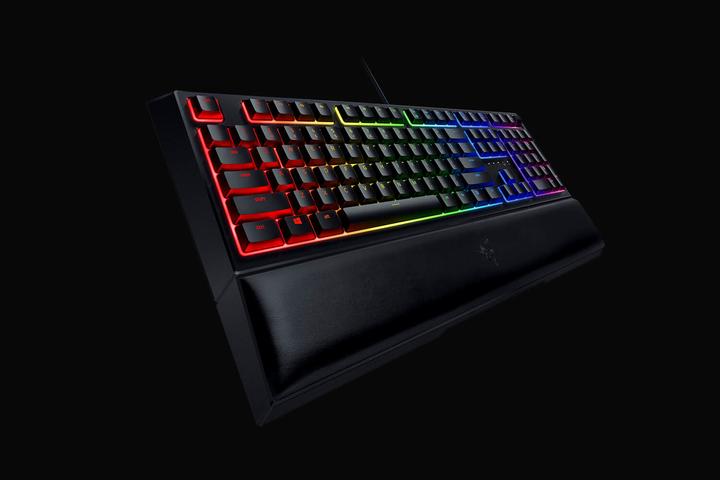 Image du produit Razer Ornata V2 (DE, Filaire)