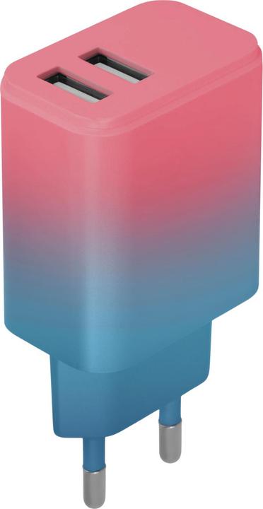Productafbeelding Setty charger 2x USB 18W LSIG-AA-20 pink-turquoise gradient (18 W)