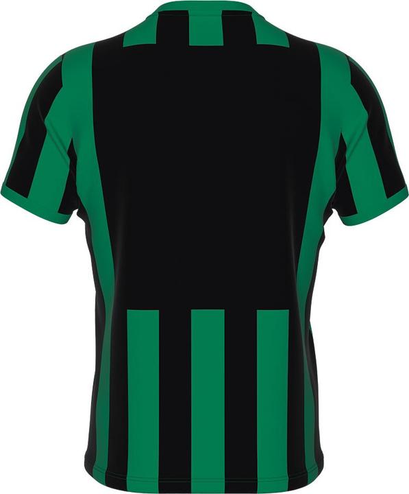 Produktbild Errea Shirt Strip S/S Jr (122)