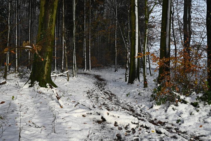 Produktbild Wandern 2025 Grossformat-Kalender 58 x 4