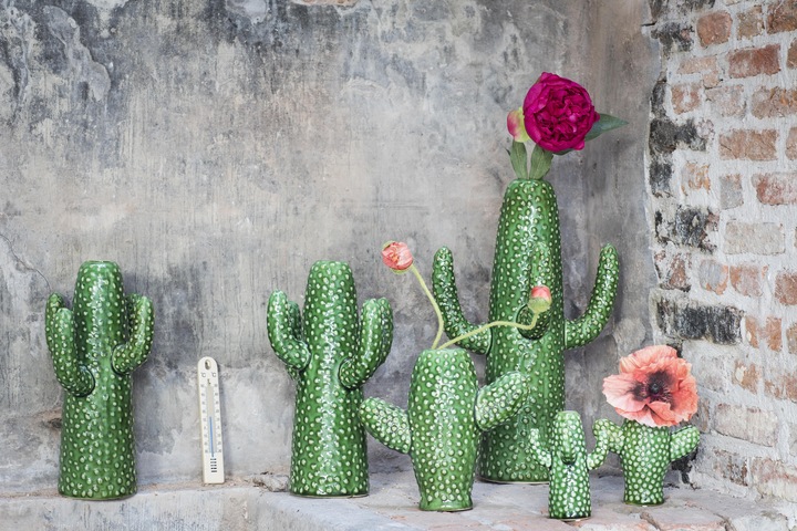 Image du produit Serax Cactus Moyen (1 x)