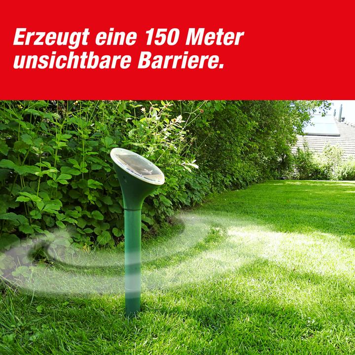 Actual product image Super Cat Solar-Maulwurf & Wühlmaus -Vertreiber SUPERCAT