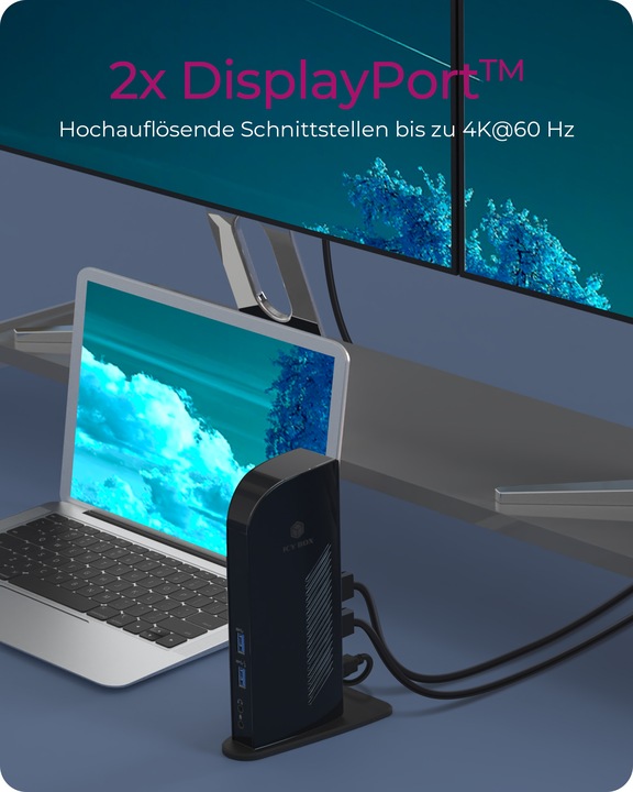 Immagine prodotto Icy Box Ib-Dk2242ac (USB-B, 6 Porti)