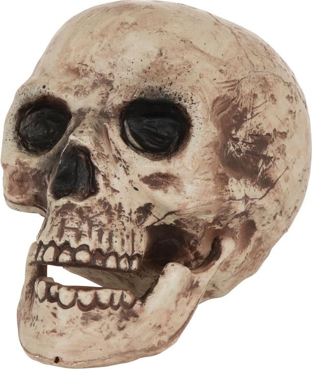 Produktbild Bristol Novelty TotenkopfDekoration (1 Stk.)