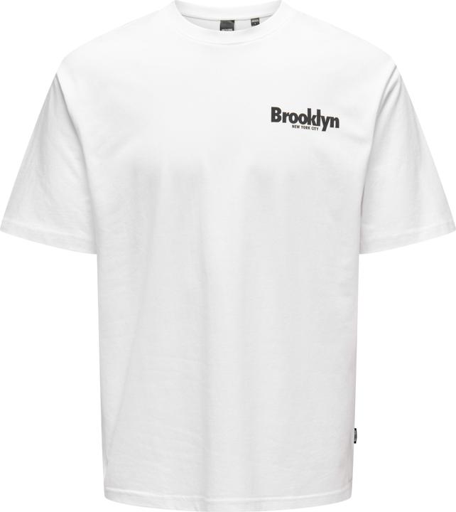 Only & Sons Onskeane Rlx Ss Print Tee Noos (M)
