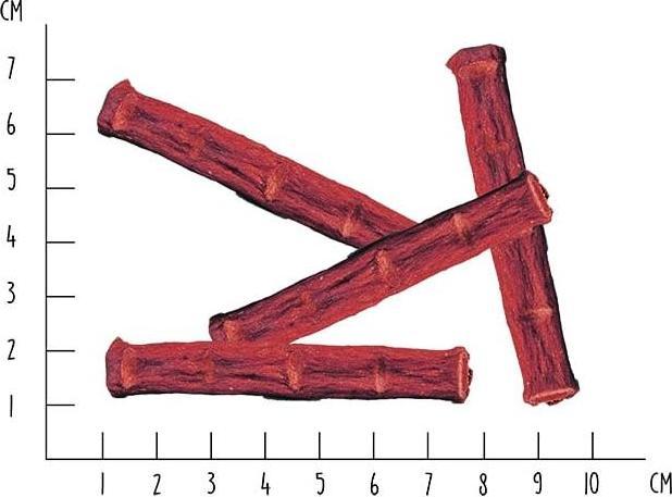 Actual product image Vegdog Beevys mit Roter Beete und Buchenrauch (Adult, 1 pcs., 80 g)