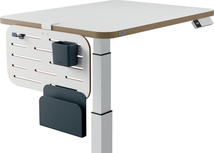 Actual product image Leitz Schreibtischorganizer Ergo