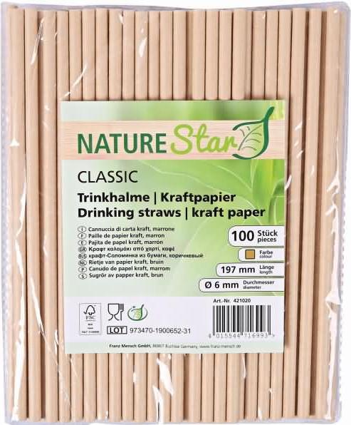 Produktbild Webstar Trinkhalm 19,7cm (100 x)