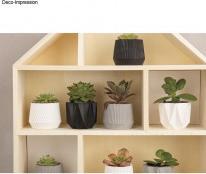 Image du produit Rayher Silikon Giessform "Mini Töpfchen"