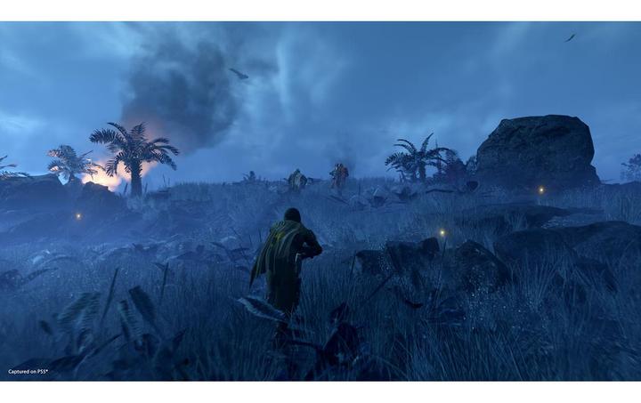 Productafbeelding Sony Helduikers 2 (PS5, IT, FR, DE)