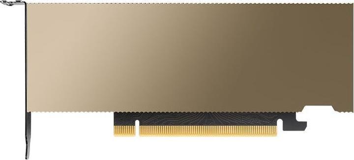 Produktbild PNY Nvidia L4 Module 24GB 1X LP (24 GB)