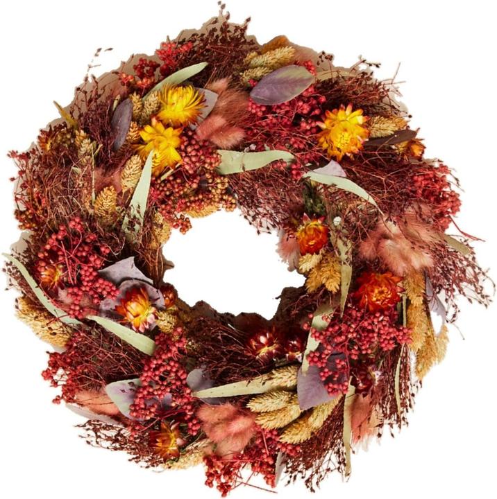 Fresca-Plant Trockenblumenstrauss Wreath Terra 2set (Fleurs séchées)