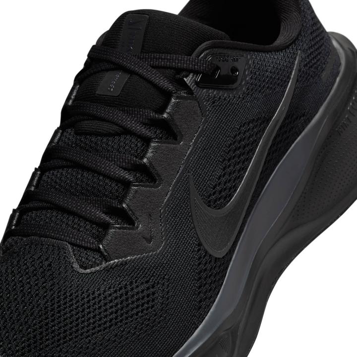 Image du produit Nike Pegasus 41 (42)