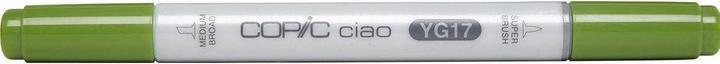 Produktbild Copic Ciao Typ YG - 17 (1x)