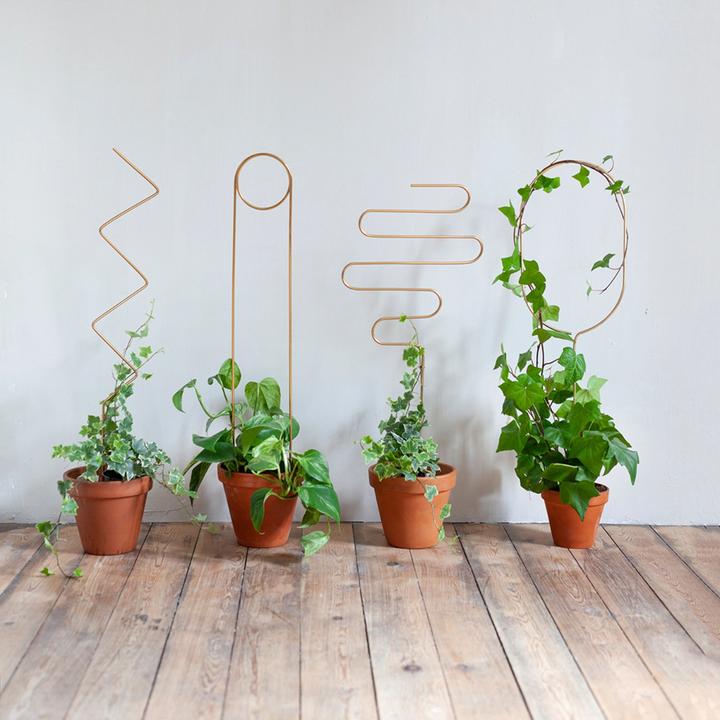 Produktbild Botanopia Rankhilfe Squiggle Gold (100 cm)