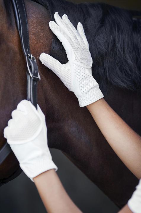 Image du produit Catago Gants d'été hybrides (7)