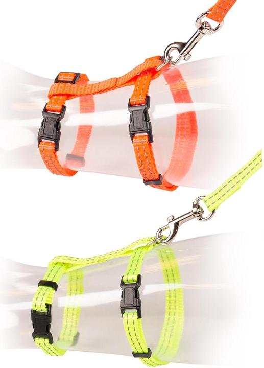 Actual product image EBI Cat walking set Reflective (Cat, Walks)