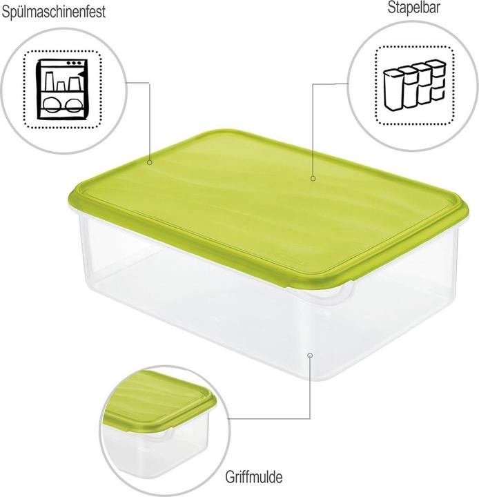 Actual product image Rotho Rondo (5 l)
