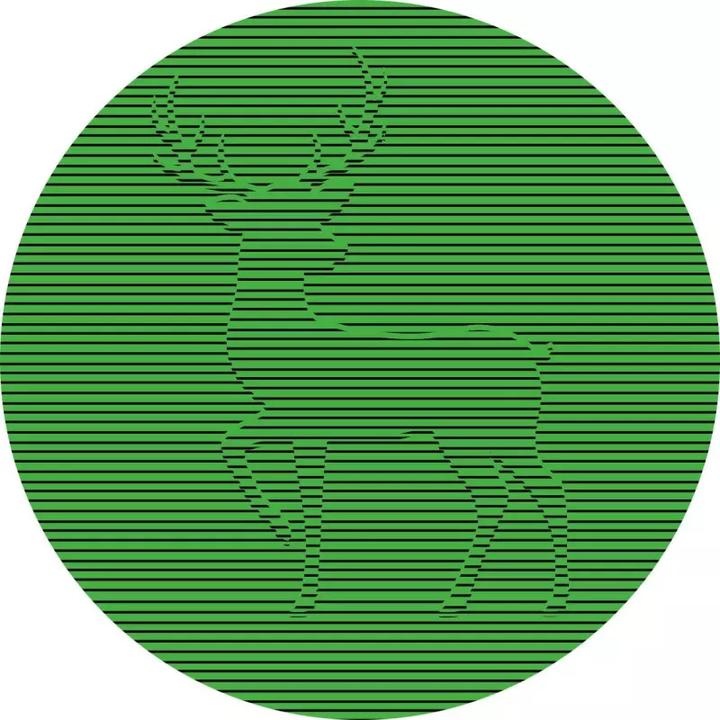 Actual product image 24 optical illusions