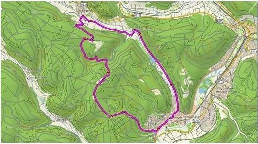 Produktbild Garmin Topo Deutschland V9 Pro