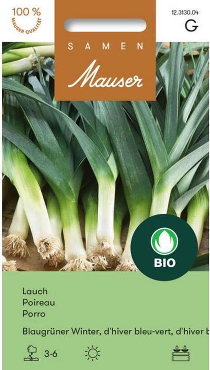 Produktbild Samen Mauser Knospe Bio Lauch Blaugrüner Winter (Blumenzwiebeln)
