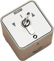 Projecta Schlüsselschalter für Leinwand