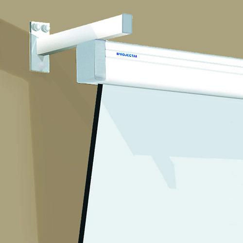 Actual product image Projecta Projector screen extension arm