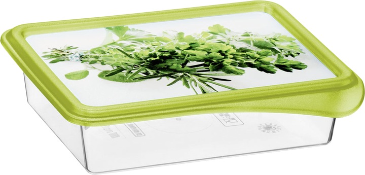 Actual product image Rotho Rondo (0.20 l)