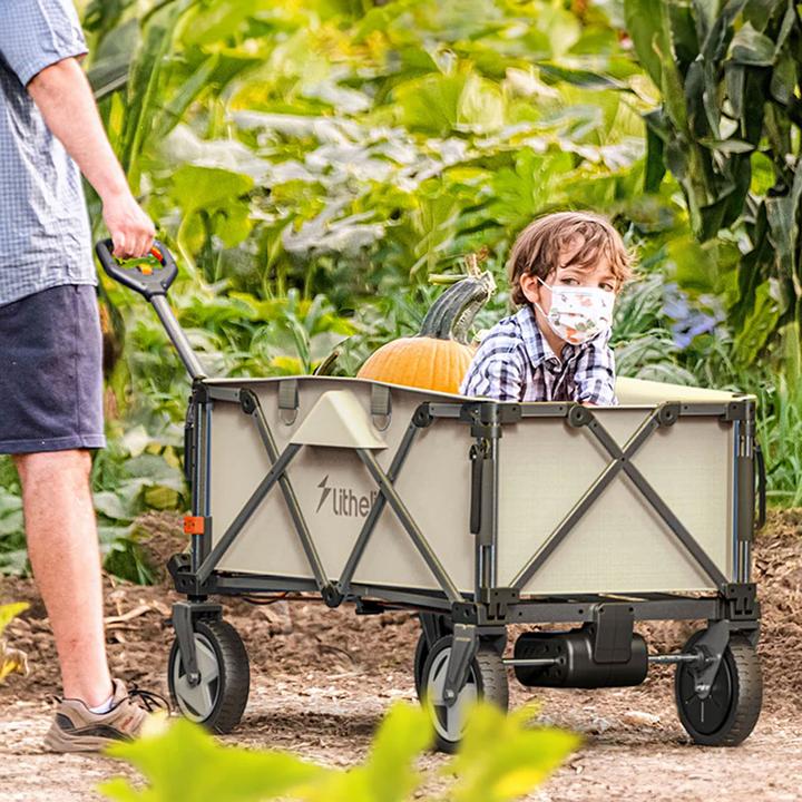 Image du produit Litheli W1 Pro