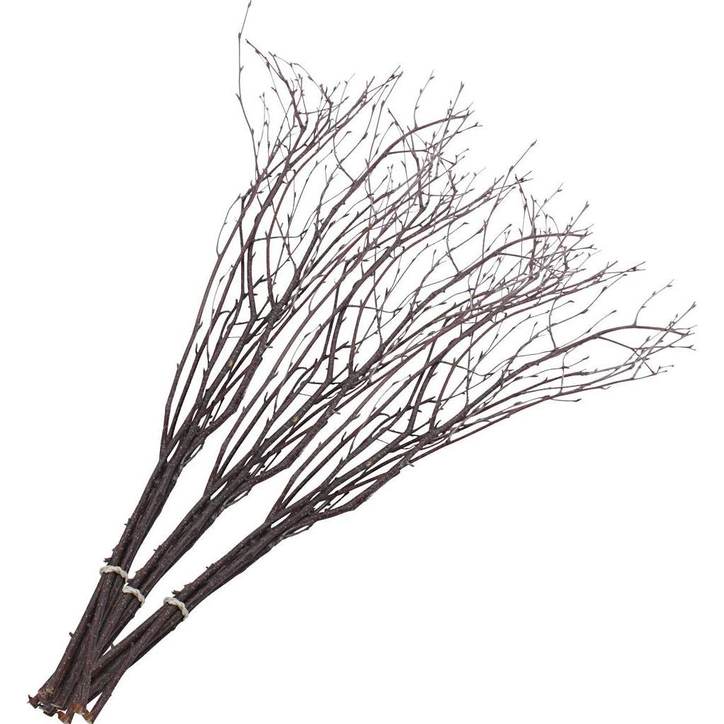 Default Birch Branches (20 Stk.) (50240)