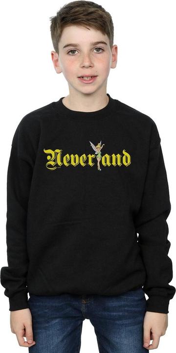 Actual product image Disney Boys Tinker Bell Neverland Sweatshirt (116)