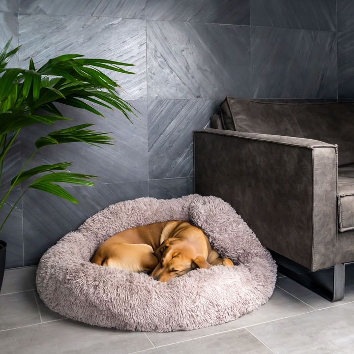 Produktbild Intirilife Haustierbett Beige Durchmesser 100 cm (Hund, Katze)