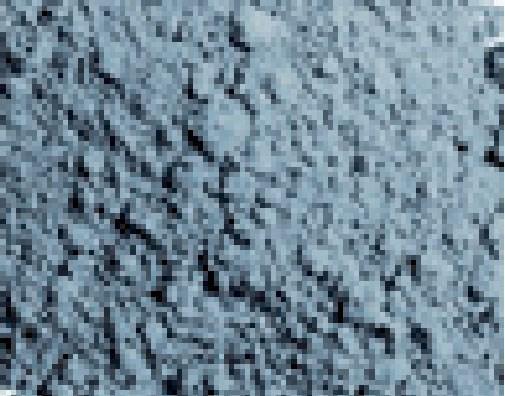 Productafbeelding Vallejo Pigmenten