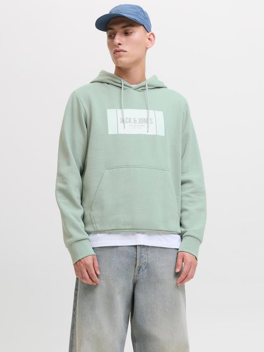 Produktbild Jack & Jones Jjhayato Sweat Hood Bts Ln (S)