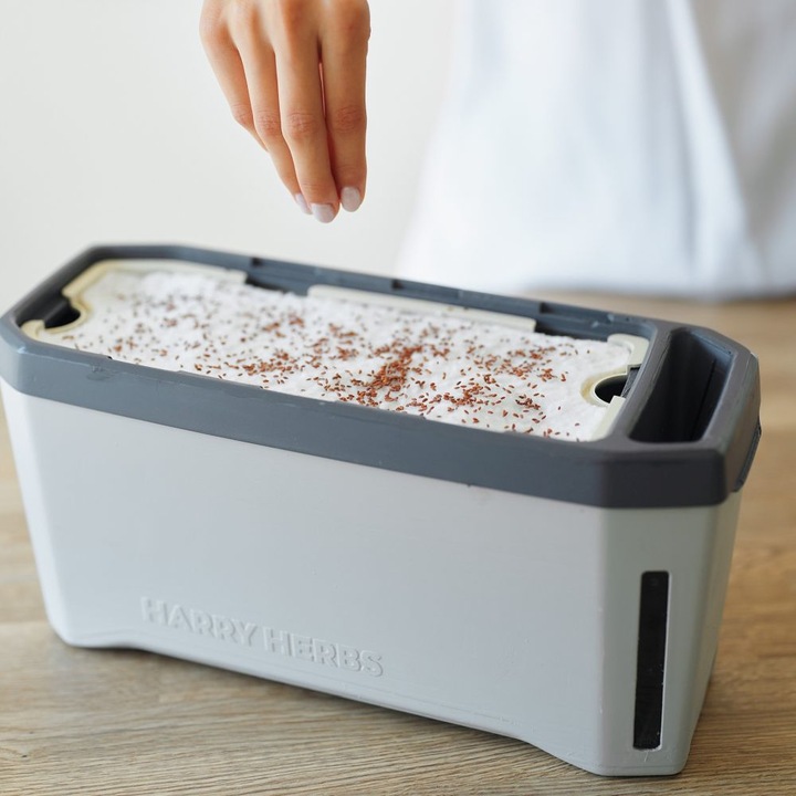 Immagine prodotto Gusta Garden Semi Microgreens Ravanelli HARRY HERBS (Germogli)