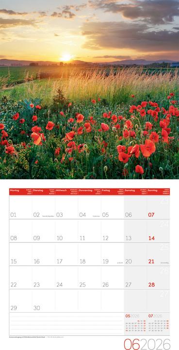 Image du produit Magie des Lichts Kalender 2026 - 30x30 (30 x 30 cm, Couverture rigide, Anglais, Français, Italien)