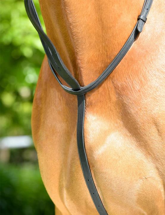 Image du produit Collegiate Comfitec Opulux