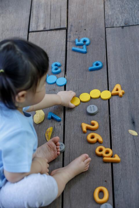 Actual product image Plantoys Numbers and symbols (German, French, Italian, English)