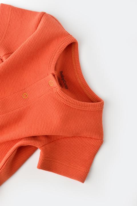 Produktbild BabyCosy Strampler kurze. kurzarm (68)