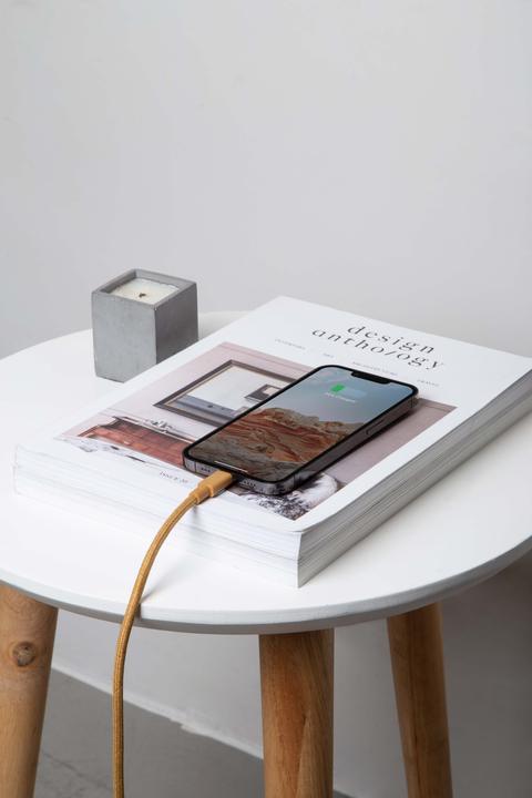 Actual product image Native Union Belt Cable (1.20 m)