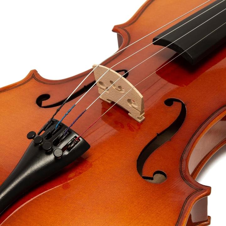 Actual product image Theodore Beginner Violin with Solid Spruce Top and Ebony Fingerboard (Fiddle, 3/4)