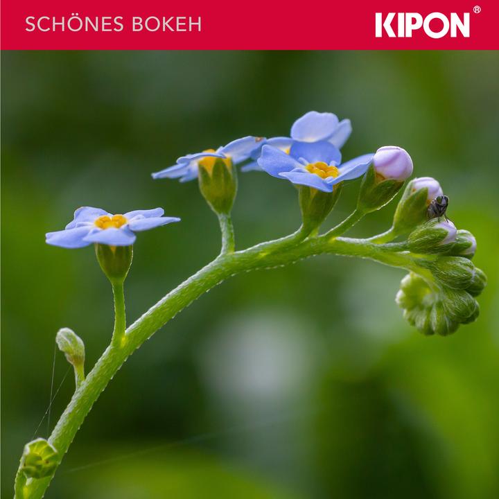 Produktbild Kipon Iberit 50/2,4 Vollformat Fuji X (Fujifilm X, Vollformat)