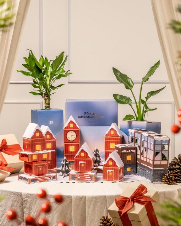 feey Plants advent calendar (60 cm)