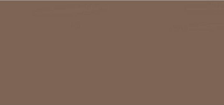 Actual product image Rimmel London Brow This Way Medium Brown (Medium Brown)