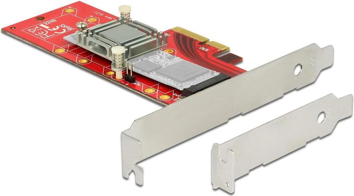 Actual product image Delock PCI-Express-x4 controller, NVMe sup.